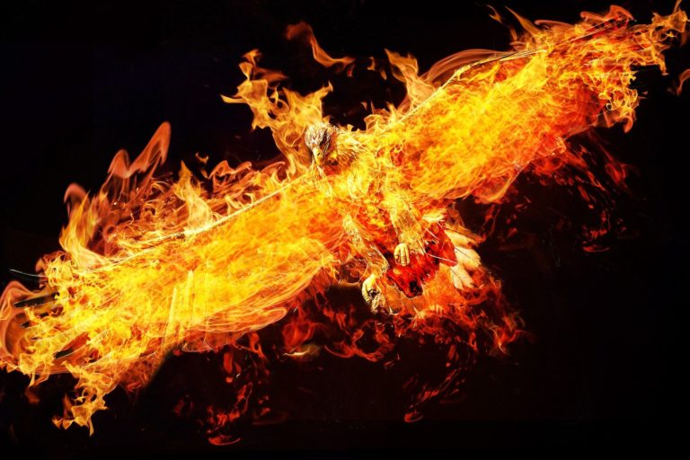 Feuervogel