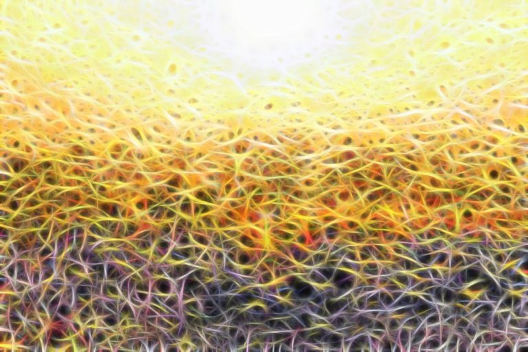 Fluktuation-5_vor-12